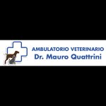 ambulatorio-veterinario-quattrini-dr-mauro