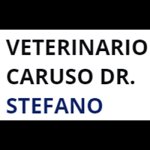veterinario-caruso-dr-stefano