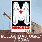 minguzzi-noleggio-ed-interventi-con-autogru