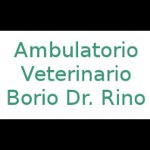 borio-dr-rino-ambulatorio-veterinario