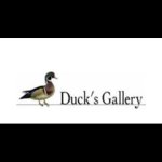 antichita-duck-s-gallery