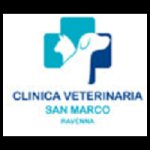 clinica-veterinaria-san-marco-ravenna---dott-medri-gianfranco-veterinario