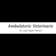 ambulatorio-veterinario-dott-mariani-luigi-angelo