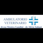 ambulatorio-veterinario-associato-gandini-e-soliani