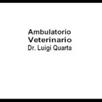 ambulatorio-veterinario-dr-luigi-quarta