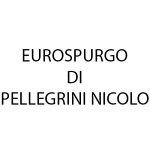 eurospurgo-di-pellegrini-nicolo