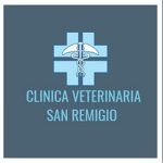 clinica-veterinaria-s-remigio