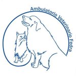ambulatorio-veterinario-fedra