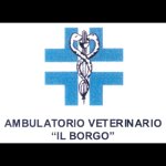 ambulatorio-veterinario-il-borgo-dott-tessari-andrea
