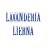 lavanderia-lierna