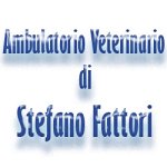 ambulatorio-veterinario-di-stefano-fattori
