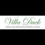 villa-duck