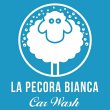 la-pecora-bianca-car-wash