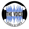 the-voice---scuola-di-canto