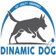 educazione-e-addestramento-cani-centro-cinofilo-dinamic-dog-a-s-d