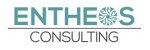 entheos-consulting-srl