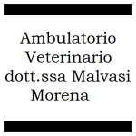 ambulatorio-veterinario-dott-ssa-malavasi-morena