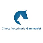 clinica-veterinaria-gammavet