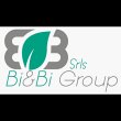 bi-bi-group