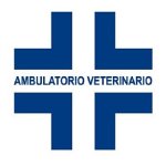 ambulatorio-veterinario-san-rocco---dott-di-fabrizio-lamberto