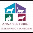 venturini-anna---veterinario-a-domicilio-nuova-florida