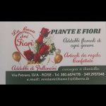 piante-e-fiori-la-casa-dei-fiori-di-siciliano-cinzia