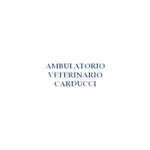 ambulatorio-veterinario-carducci-della-dott-ssa-miele-francesca