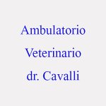 ambulatorio-veterinario-dr-cavalli-e-associati