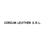 corium-leather