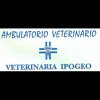 clinica-veterinaria-ipogeo
