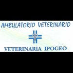 clinica-veterinaria-ipogeo