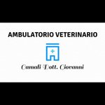 ambulatorio-veterinario-camali-dr-giovanni