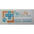 ambulatorio-veterinario-pet-life