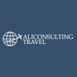 aliconsulting-travel