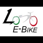 l-e-bike
