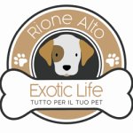 exotic-life-rione-alto
