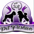 pet-fashion---toelettatura-professionale