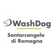 wash-dog-santarcangelo-di-romagna