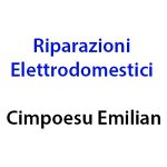 riparazioni-elettrodomestici-cimpoesu-emilian