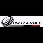 pneuservice-2000---driver-center-pirelli
