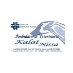 veterinario-dr-stefania-turco-ambulatorio-kalat-nissa