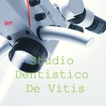 studio-de-vitis