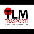 tlm-trasporti-e-logistica