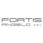 fortis-angelo-s-r-l
