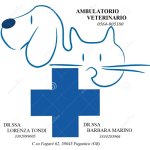 ambulatorio-veterinario-tondi-dr-ssa-lorenza-e-marino-dott-ssa-barbara