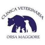 clinica-veterinaria-orsa-maggiore