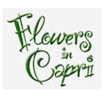 flowers-in-capri