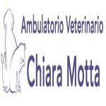 ambulatorio-veterinario-motta-chiara