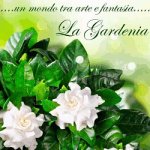 fioraio-la-gardenia