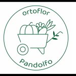 azienda-agricola-ortoflor-pandolfo